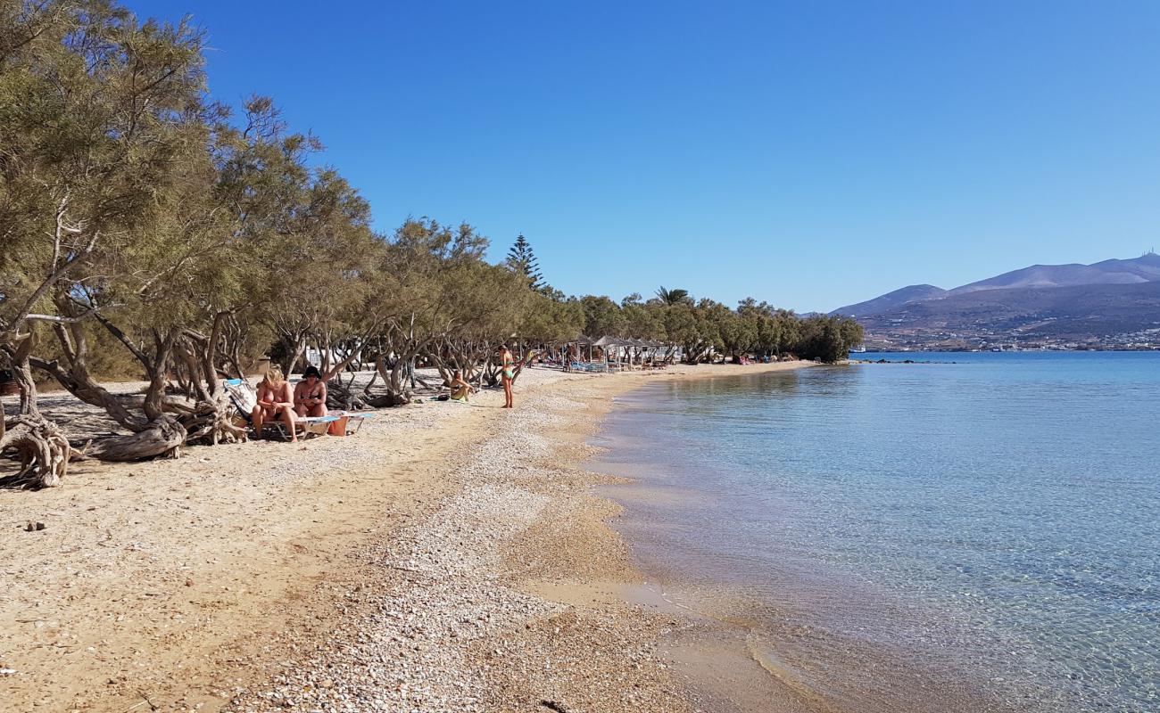 Psaraliki
