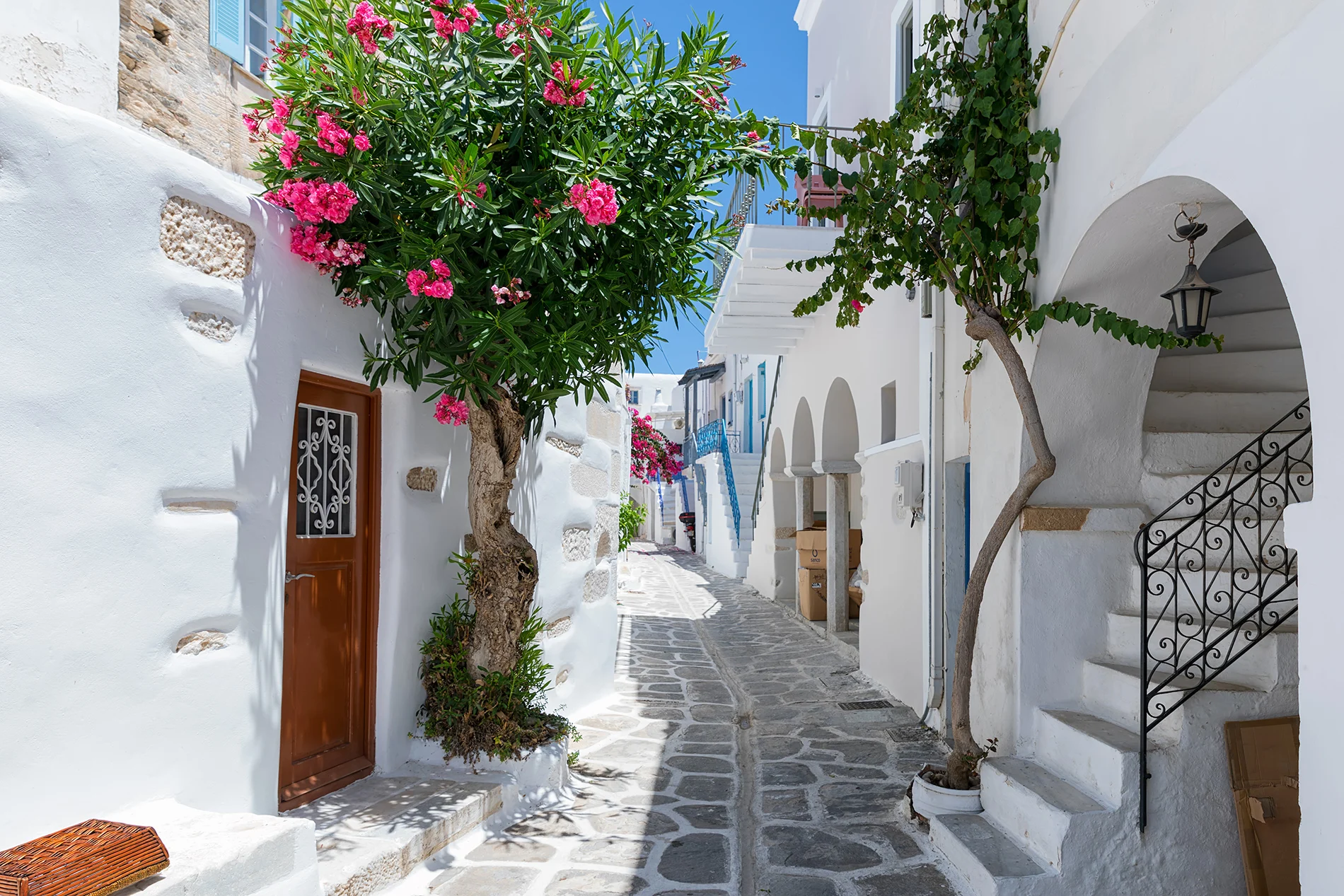 Best Paros Rentals